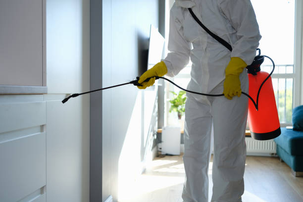 Best Bathroom Mold Remediation in Sarasota Springs, FL